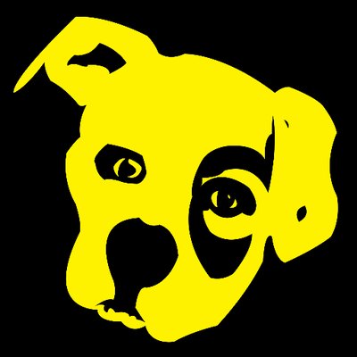big yellow dog